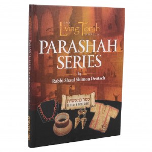 Picture of The Living Torah Museum Parashah Series Sefer Bereishis [Hardcover]